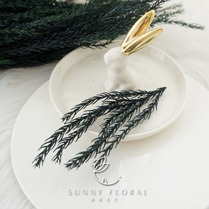 永生叶材保鲜叶材干花天竺少女松圣诞松树浮游花diy材料