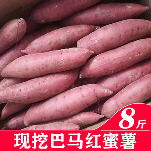 广西巴马糖心蜜薯当季新鲜红薯农家原生态种植板栗薯香甜番薯8斤