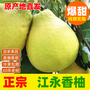 正宗江永香柚湖南永州特产新鲜水果沙田柚农家30年老树柚子粗石江