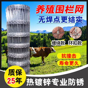 热镀锌牛栏网养殖防护隔离网格铁丝网养牛羊钢丝护栏网果园围栏网