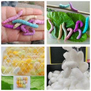 天然彩色蚕宝宝学生养蚕标准套装活物1龄活的大蚕宝宝桑叶活蚕5龄