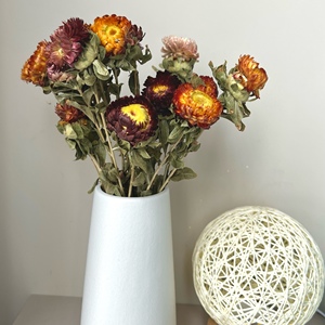天然手工干花菠萝菊高级感轻奢真花南非进口花束装饰摆件拍摄道具