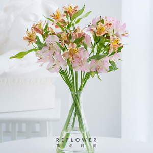2092人付款淘宝新鲜水仙百合鲜花多头六出百合花家庭办公室插花10支