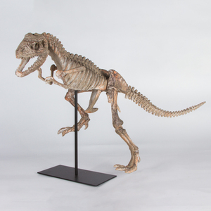 恐龙模型动物骨骼树脂摆件 博物馆办公室仿真化石教学道具工艺品