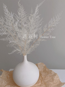 ins白色干花摆件永生花束天然真花客厅装饰简约陶瓷北欧风花瓶