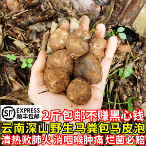 云南野生马皮泡新鲜500g马勃菌马粪包马屁包菌菇鸡枞菌松茸牛肝菌