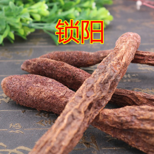 锁阳粉500g