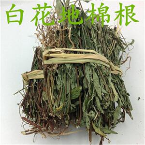 世界长寿之乡蕉岭野生白花地棉根,地绵茎,了哥王250g