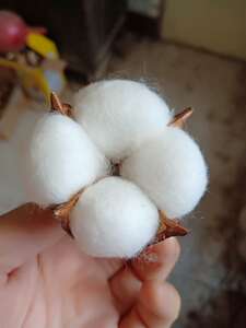 【新疆爱国棉花】天然棉花干花插花棉花花束干棉花单个花苞四瓣
