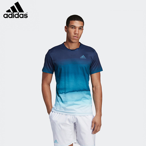 adidas阿迪达斯网球服男2019澳网兹维列夫伯蒂奇t恤dp0287 dp0286