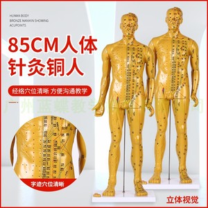 铜色清晰经络通针灸铜人中医人体穴位模型 针灸人模 80cm针灸铜人