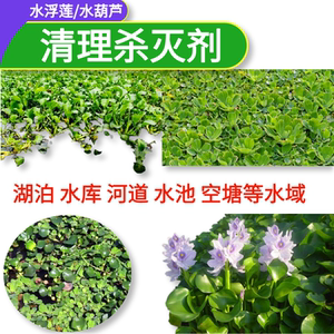 水葫芦水浮莲清理剂水下空心莲子河道清理剂革命草水草除草剂喷雾