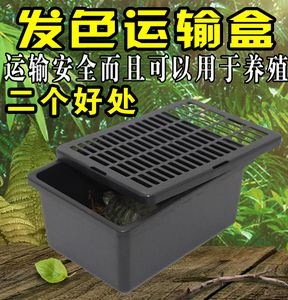 乌龟活体发货盒饲养发色盒子爬虫蜘蛛角蛙龟缸晒台深水苗塑料陆地