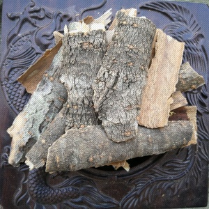 同仁堂养生野生暴马子树皮 暴马子皮 暴马丁香 白旃檀 音沾谈520