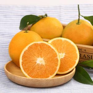 现摘鲜橙大果夏橙现摘现发橙子新鲜水果奶茶店榨汁鲜橙