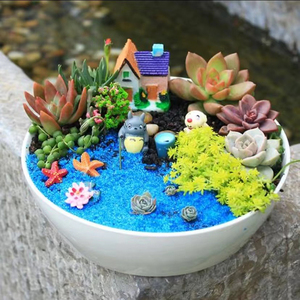 多肉植物微景观diy家居绿植摆件暖场活动企业团建幼儿园