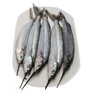 厚今海鲜 海钓针鱼 刺身 烧烤 冰鲜水产 新鲜到家 坏单包赔