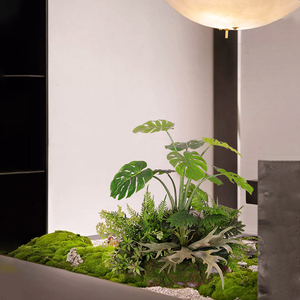 富贵树客厅大型