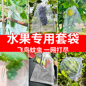 果树防虫网袋防鸟纱网袋保护葡萄袋无花果番石榴草莓套袋桃子套袋