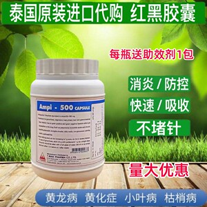 泰国进口红黑胶囊黄龙病黄化病专用药盐酸四环素柑橘脐橙打针输液