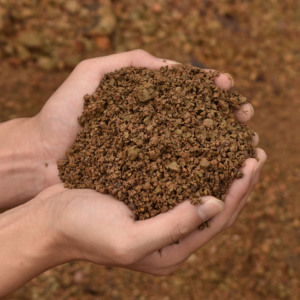 三河黑松风化土风化砂风化石赤玉土弱酸性土质金弹子盆景营养土