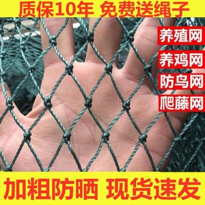 养鸡网拦鸡网围网养殖网围栏网尼龙菜园围网爬藤网防鸟网防护网罩