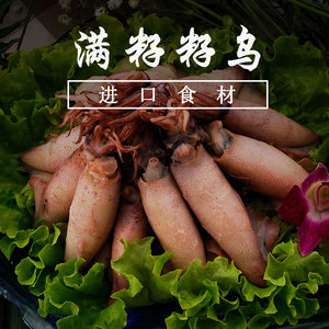 新鲜全籽乌鱼 海兔子 笔管鱼250克只只满籽进口野生鲜活