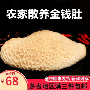 金钱肚新鲜 蜂窝肚 牛肚黄牛花肚牛杂火锅食材 新鲜蜂窝肚500g