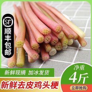 鸡头梗新鲜湖北芡实梗非藕尖洪湖新鲜苞梗鸡头菜芡实梗顺丰