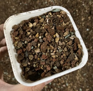 多肉植物专用土 土 颗粒土 铺面石 配土 云南昆明神琦的哆肉