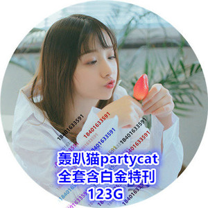 轰趴猫partycat模特服装设计全套资料参考图123g