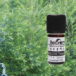 天然单方澳洲互叶白千层茶树精油10ml祛痘祛痘印抗菌 医护半价