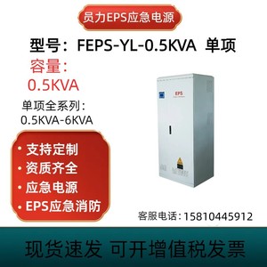 员力EPS应急电源照明型FEPS-YL-0.5KVA/6KVA支持各种尺寸定制