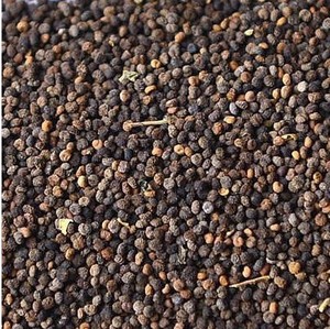 白花菜子中药材