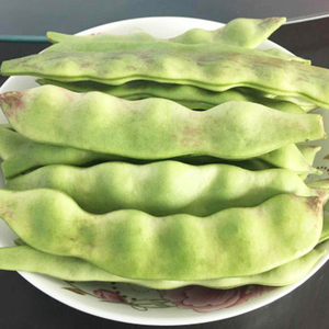 东北农家蔬菜 一年一季 大地豆角 江豆宽 一点红 油豆 四斤包邮