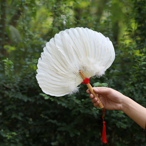 扇子白色羽毛