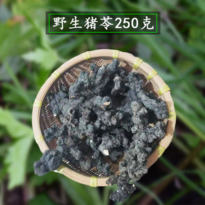 长白山野生猪苓