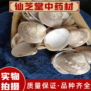中药文蛤