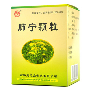 顺康堂大药房旗舰店天猫君羊肺宁颗粒10g*10袋/盒清热祛痰镇咳平喘