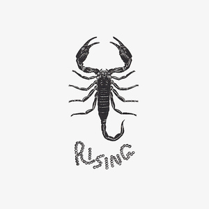 黑暗系玫瑰纹身贴防水女持久韩国仿真手臂脚踝个性图腾刺青贴纸0人