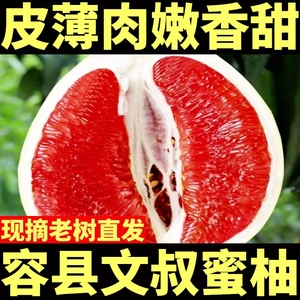 广西容县红肉蜜柚当季新鲜水果红心柚子整箱包邮非容县沙田柚平和