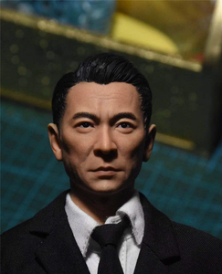 玩具 公仔,玩偶,娃娃 娃娃配饰 刘德华头雕