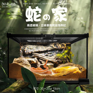 宠物蛇蛇造景玻璃饲养缸生态环境爬宠缸雨林缸水陆缸景观