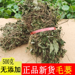 包邮 野生小毛蒌草中药材石蒌 爬岩香小毛蒟 野芦子 500克