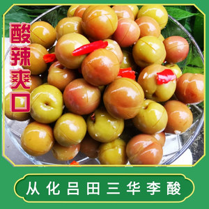 从化吕田李子酸顺丰包邮酸辣爽口