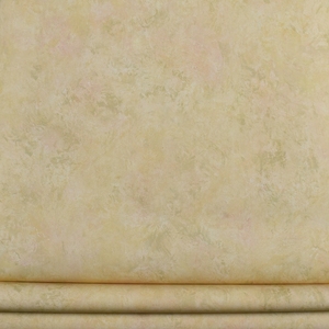 现货 美国原装进口壁纸 美式米黄系 渲染暖色 背景墙环保纯纸墙纸