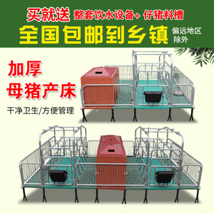 母猪产床保育床一体单体双体产保两用养殖设备产房猪用产床分娩床
