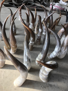 非洲牦牛角摆件超大空心牛角摆件家居装饰牛角摆件装饰品牛角原料