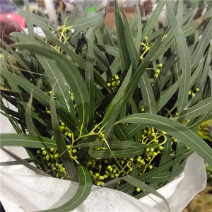 国产小米果鲜花广州速递基地直发配草配叶花期长可做干花空运包邮