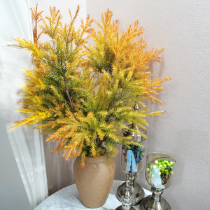 千层金鲜花云南基地直发家用室内插花水养昆明基地直批真花